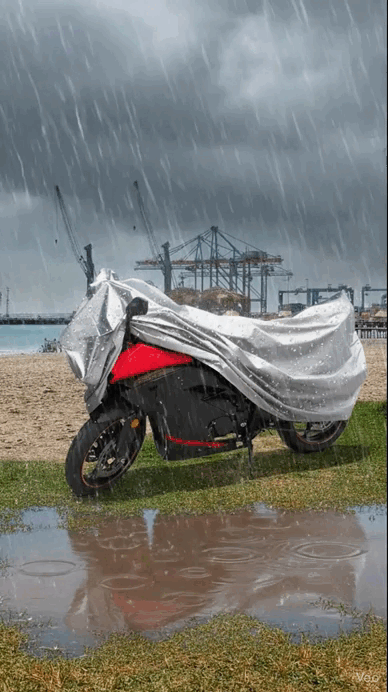 Después - Con funda REXX